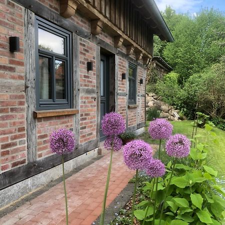 Haus Am Fischendorfer Bach Villa Bad Fallingbostel Exterior photo